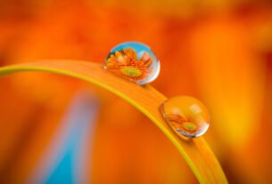 color in photography guide