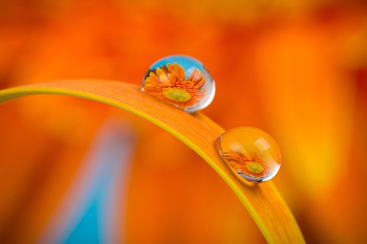 color in photography guide